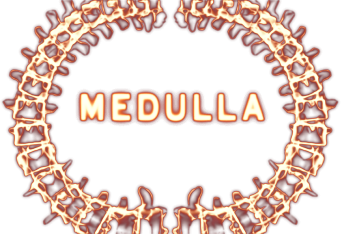 Compagnie Medulla
